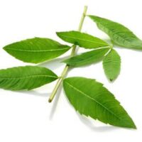 Huile essentielle Verveine bio - Ve