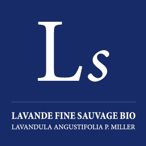 Huile essentielle Lavande Fine Sauvage bio - Ls