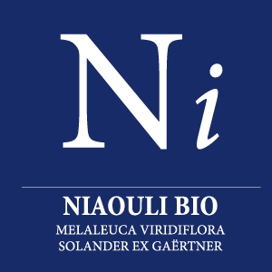 Huile essentielle Niaouli bio - Ni