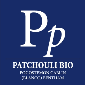 Huile essentielle Patchouli bio - Pp