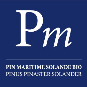 Huile essentielle Pin Maritime Solande bio - Pm