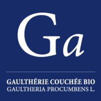 Huile essentielle Gaulthérie couchée -Thé des bois (Gaultheria procumbens)