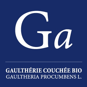 Huile essentielle Gaulthérie couchée bio - Ga