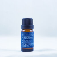 Huile essentielle Romarin Verbenone bio - Rv